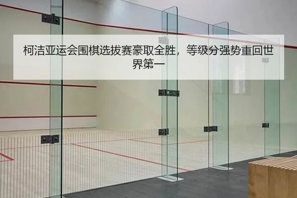 ke-jie-ya-yun-hui-wei-qi-xuan-ba-sai-hao-qu-quan-sheng-deng-ji-fen-qiang-shi-zhong-hui-shi-jie-di-yi-2-161.jpg